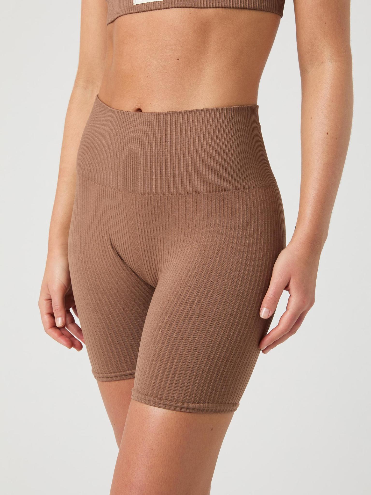 BJÖRN BORG Studio Seamless Ribbed Shorts Acorn