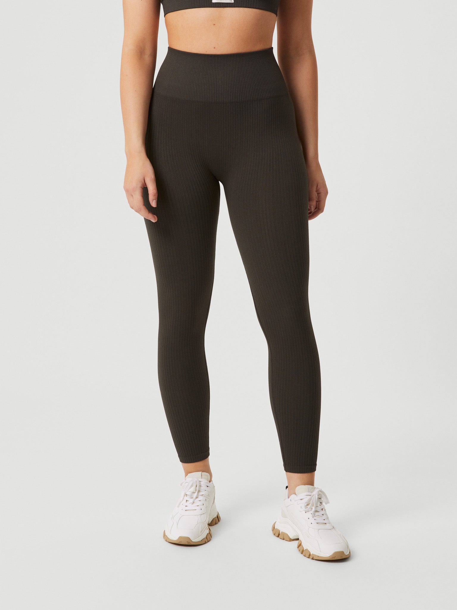 BJÖRN BORG Studio Seamless Ribbed Tights Peat