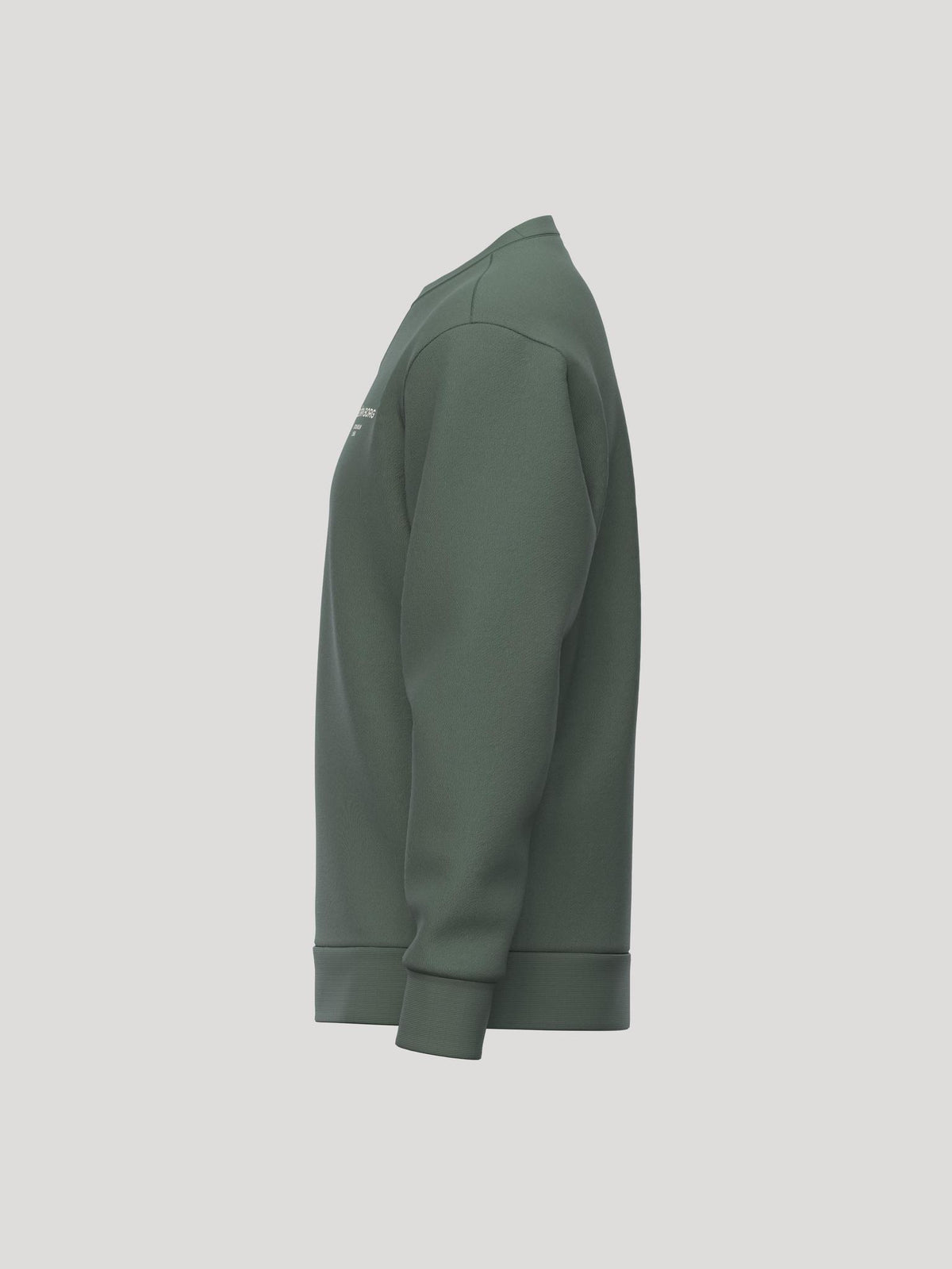 BJÖRN BORG Borg Essential 1 Sweatshirt Laurel Wreath