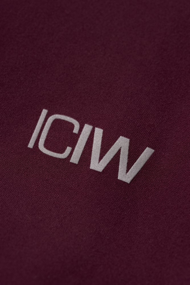 ICIW Mirage Cardio V-shape Tights Maroon