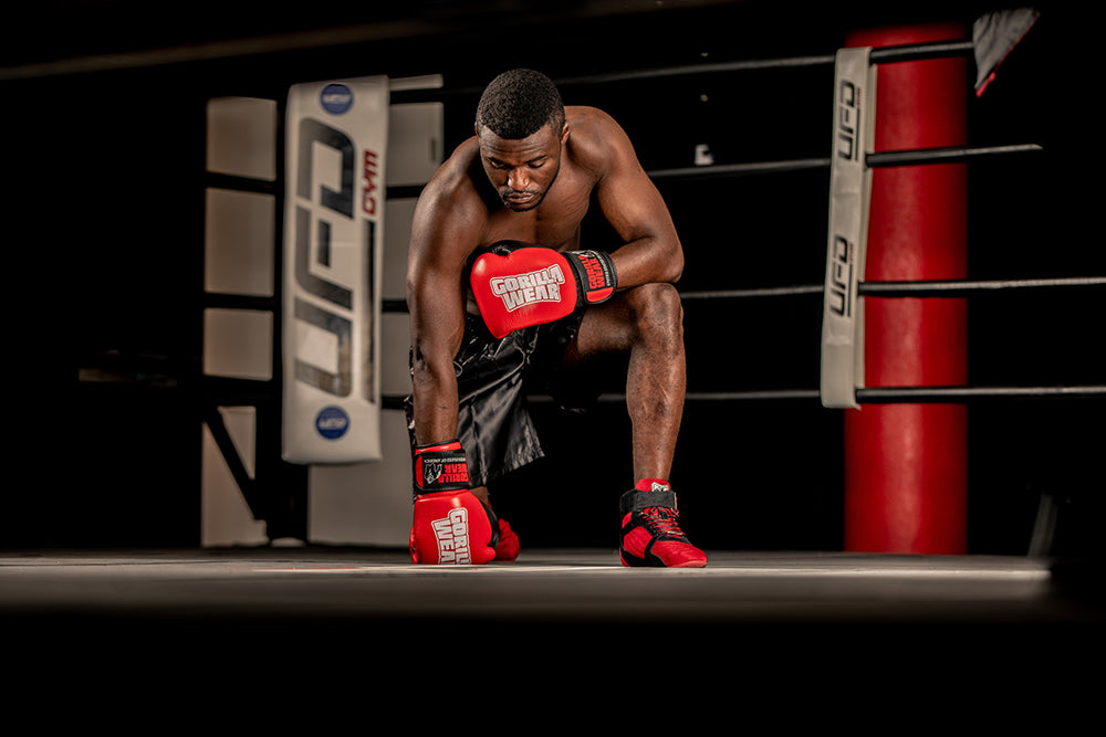 Gorilla Wear Ashton Pro Boxing Gloves, red/black