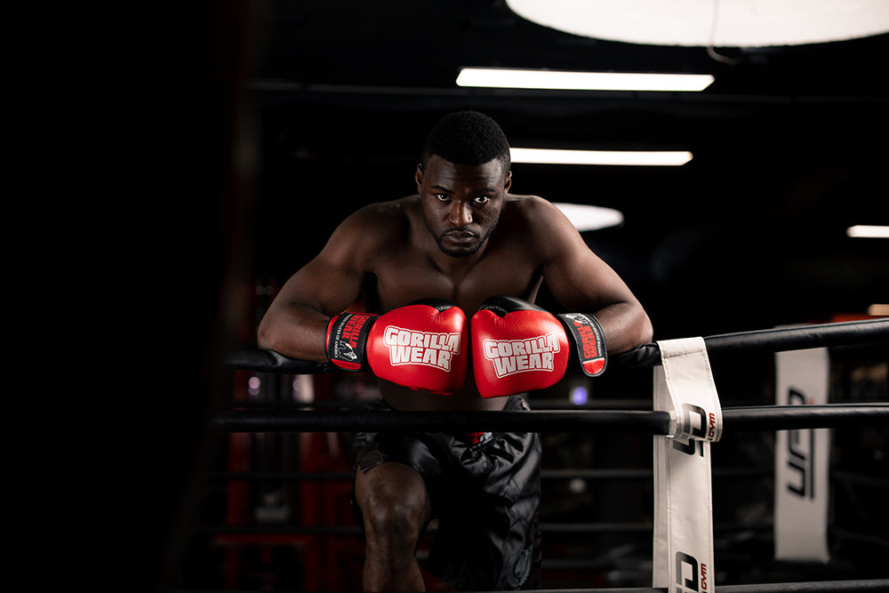 Gorilla Wear Ashton Pro Boxing Gloves, red/black