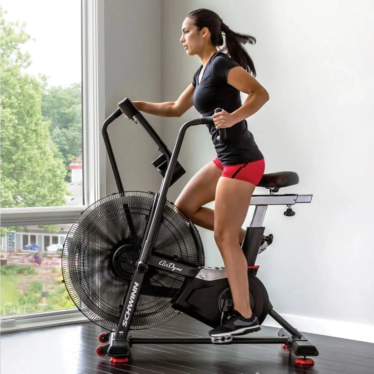Schwinn Airdyne AD8