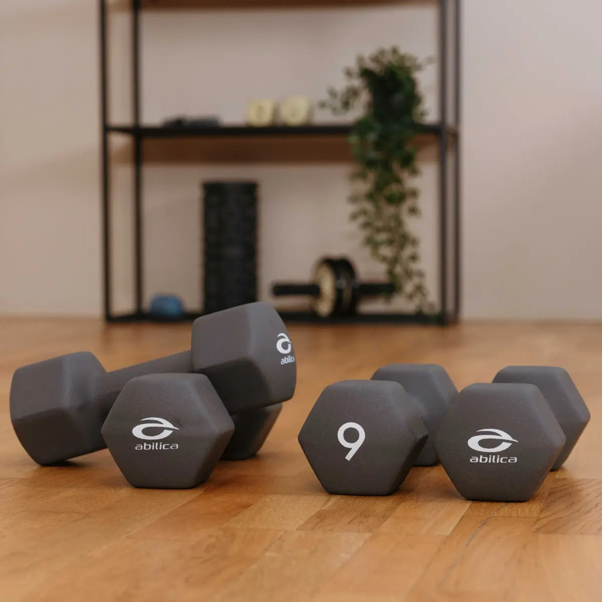 Abilica DumbBells