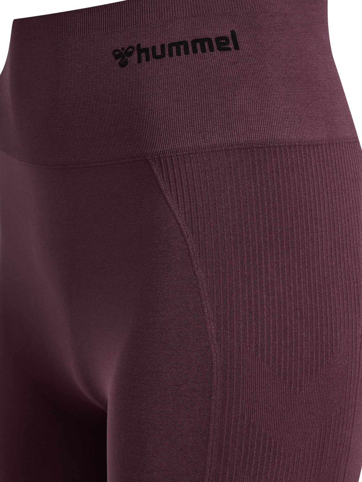 hummel Tif Seamless Shorts Fudge