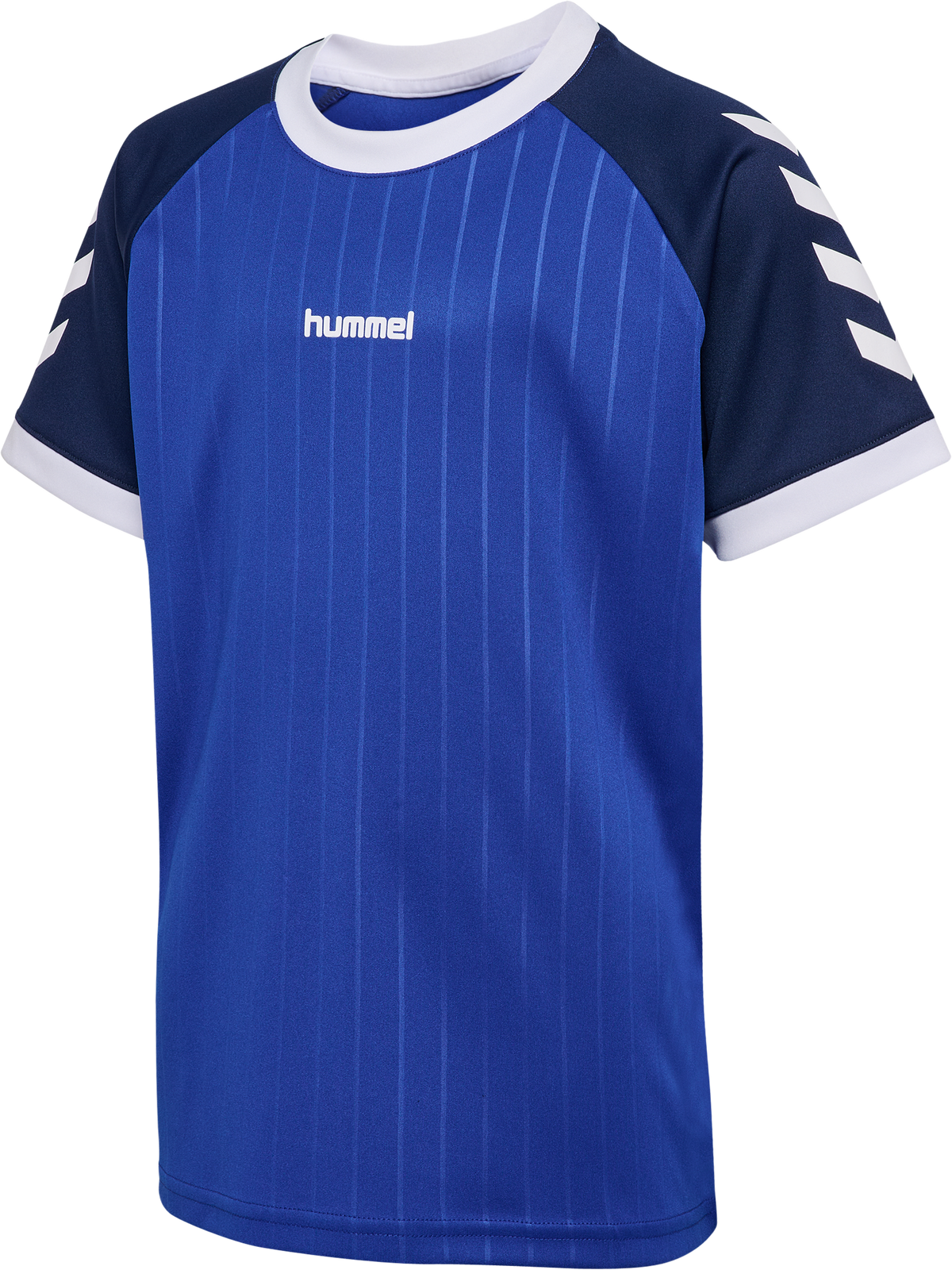 hummel Jr Stripe T-shirt S/S Surf The Web