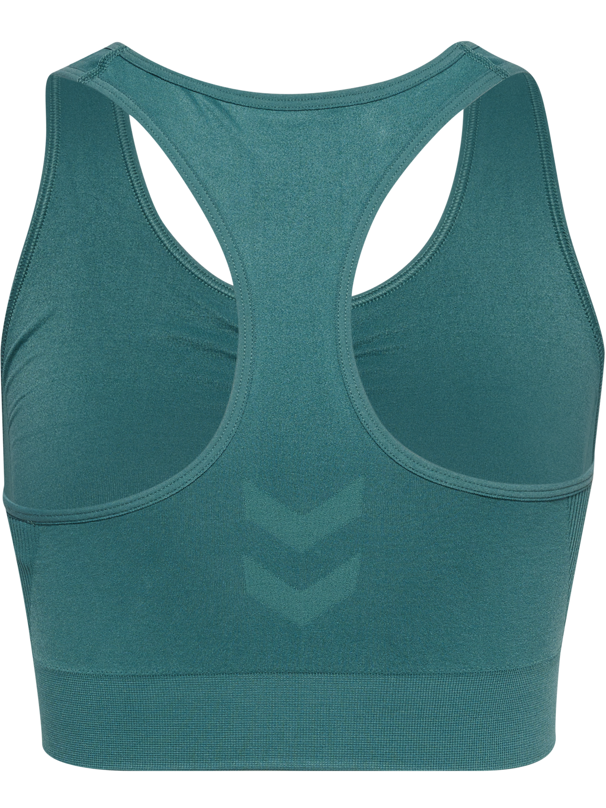 hummel Tif Seamless Sports Top North Atlantic