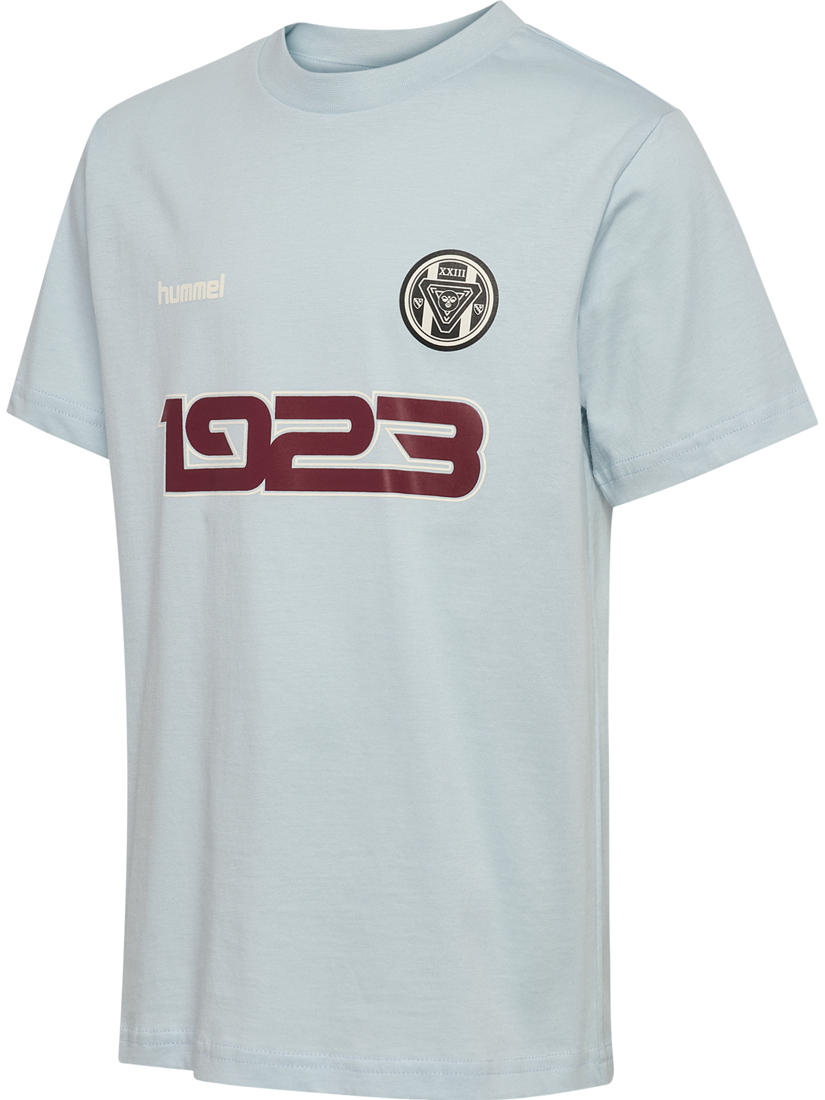 hummel Jr Reg Graphic T-shirt S/S Skyway