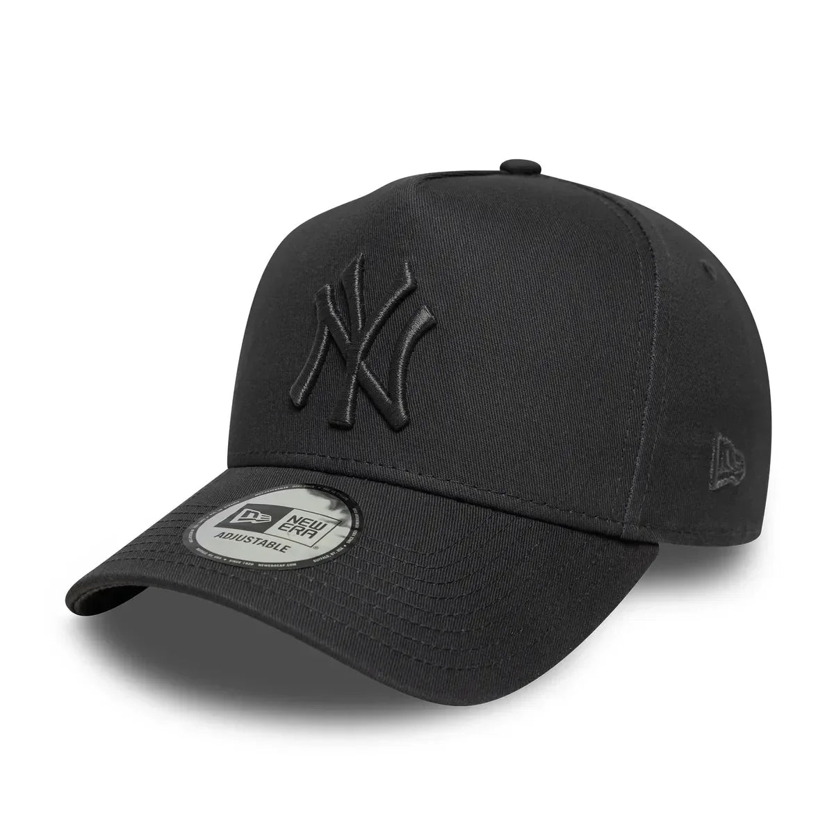New Era METALLIC EFRAME NEYYAN