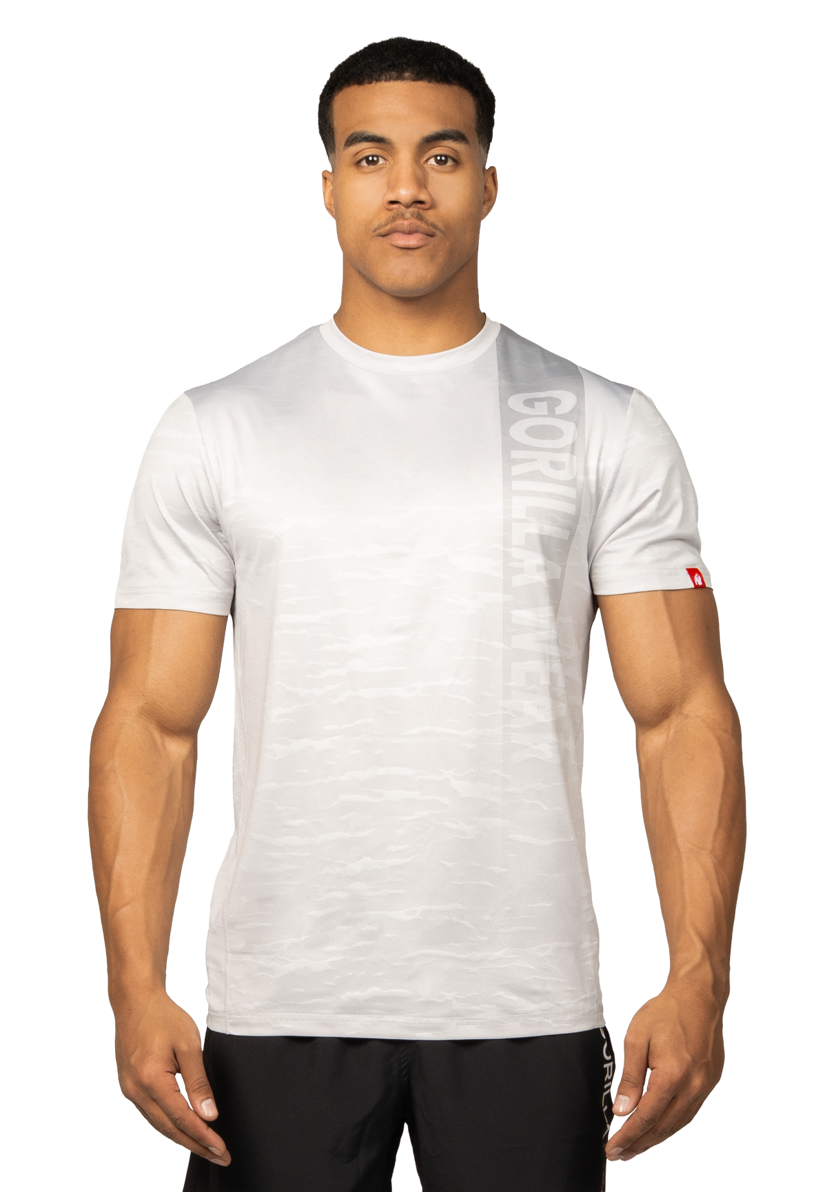 Gorilla Wear Westley T-Shirt, light grey