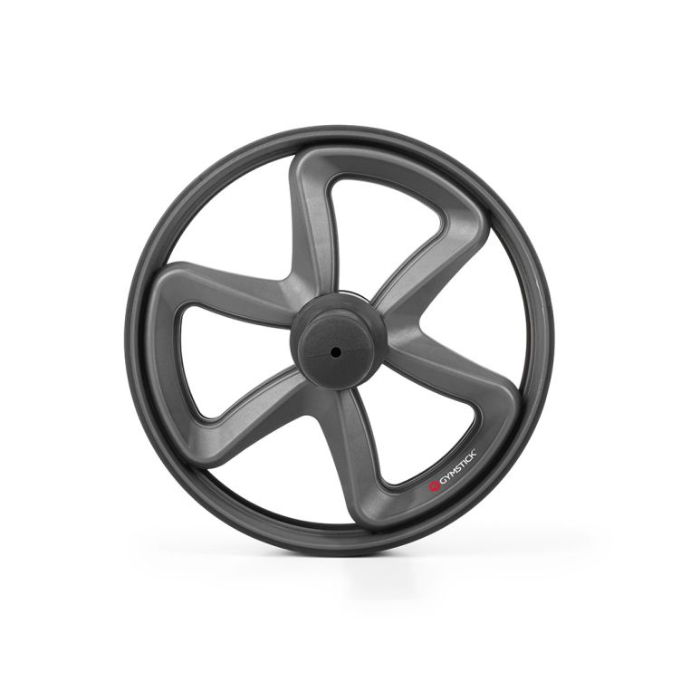 Pro Exercise Wheel