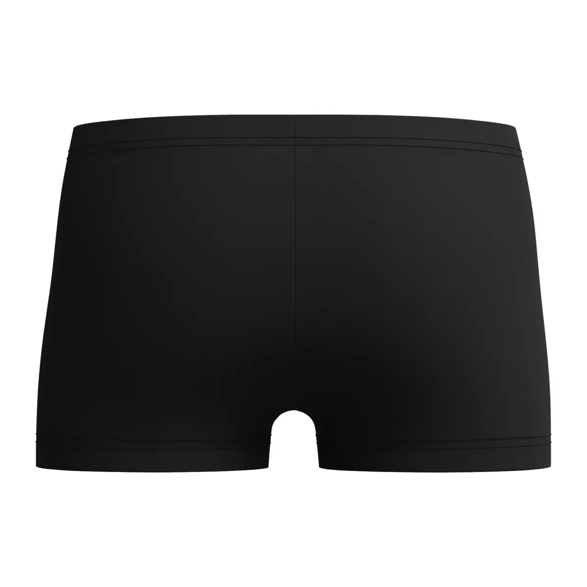 Speedo Boys Plastisol Placement Aquashort Blue