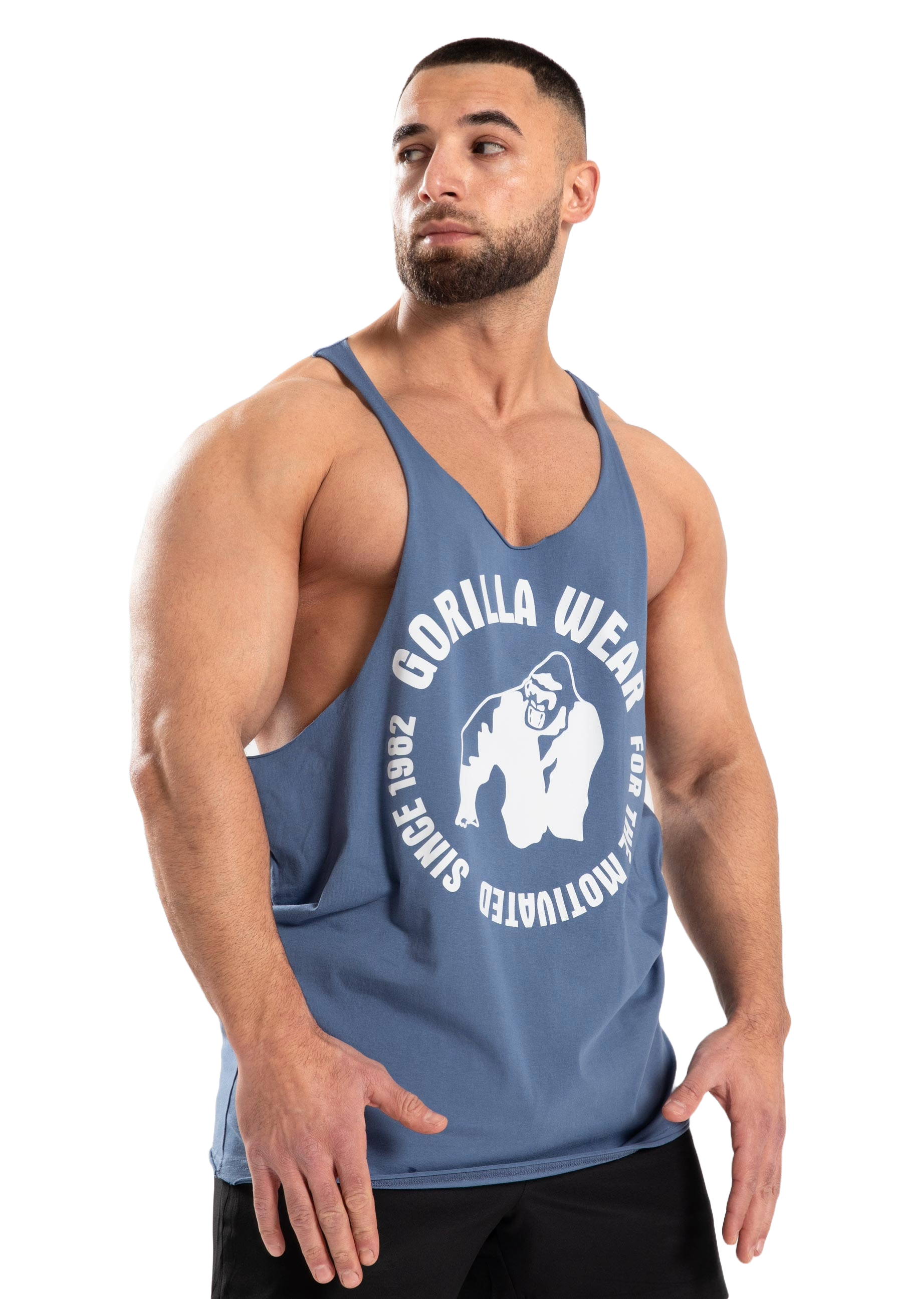 Gorilla Wear Melrose Stringer, coronet blue