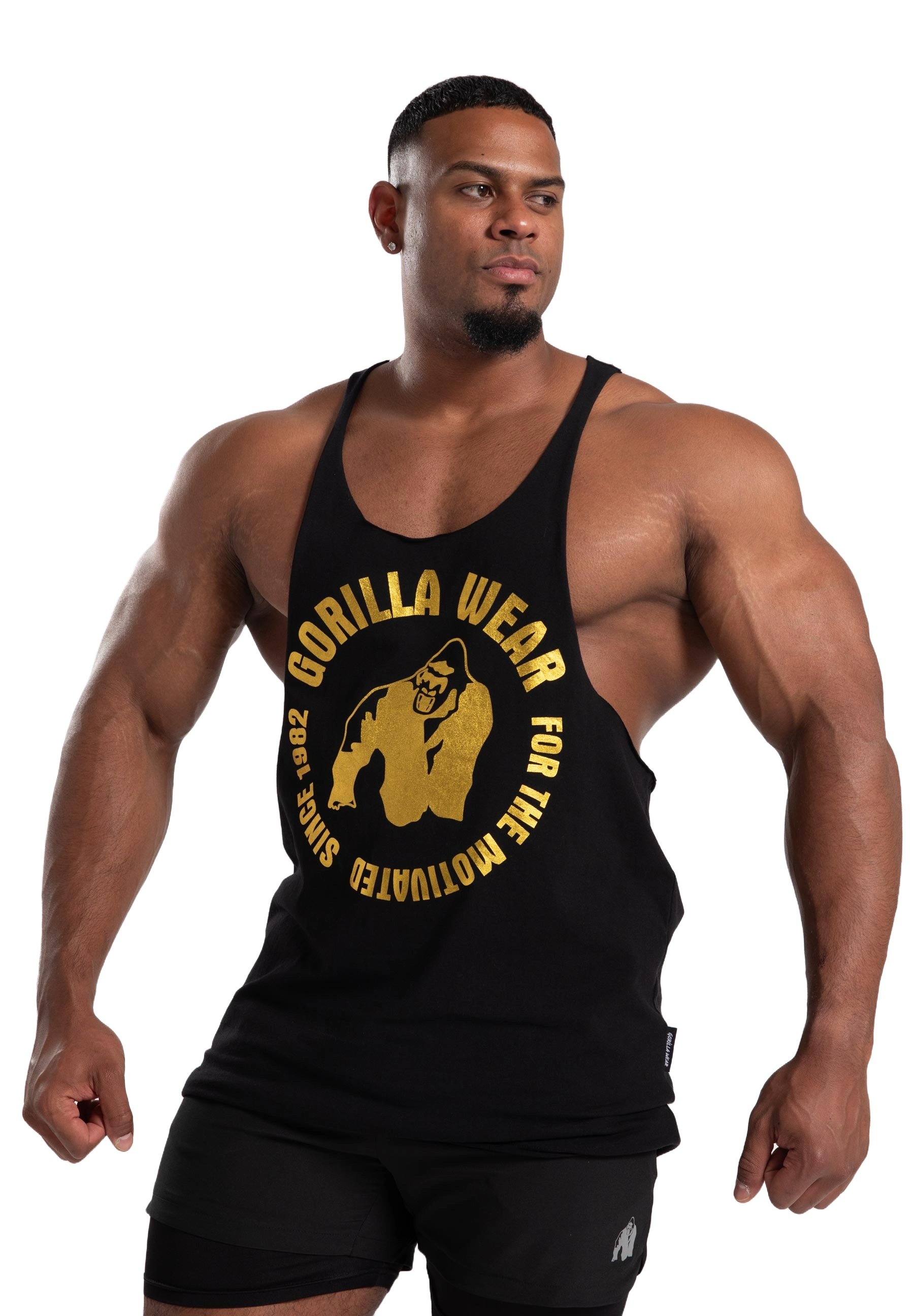 Gorilla Wear Melrose Stringer, black gold