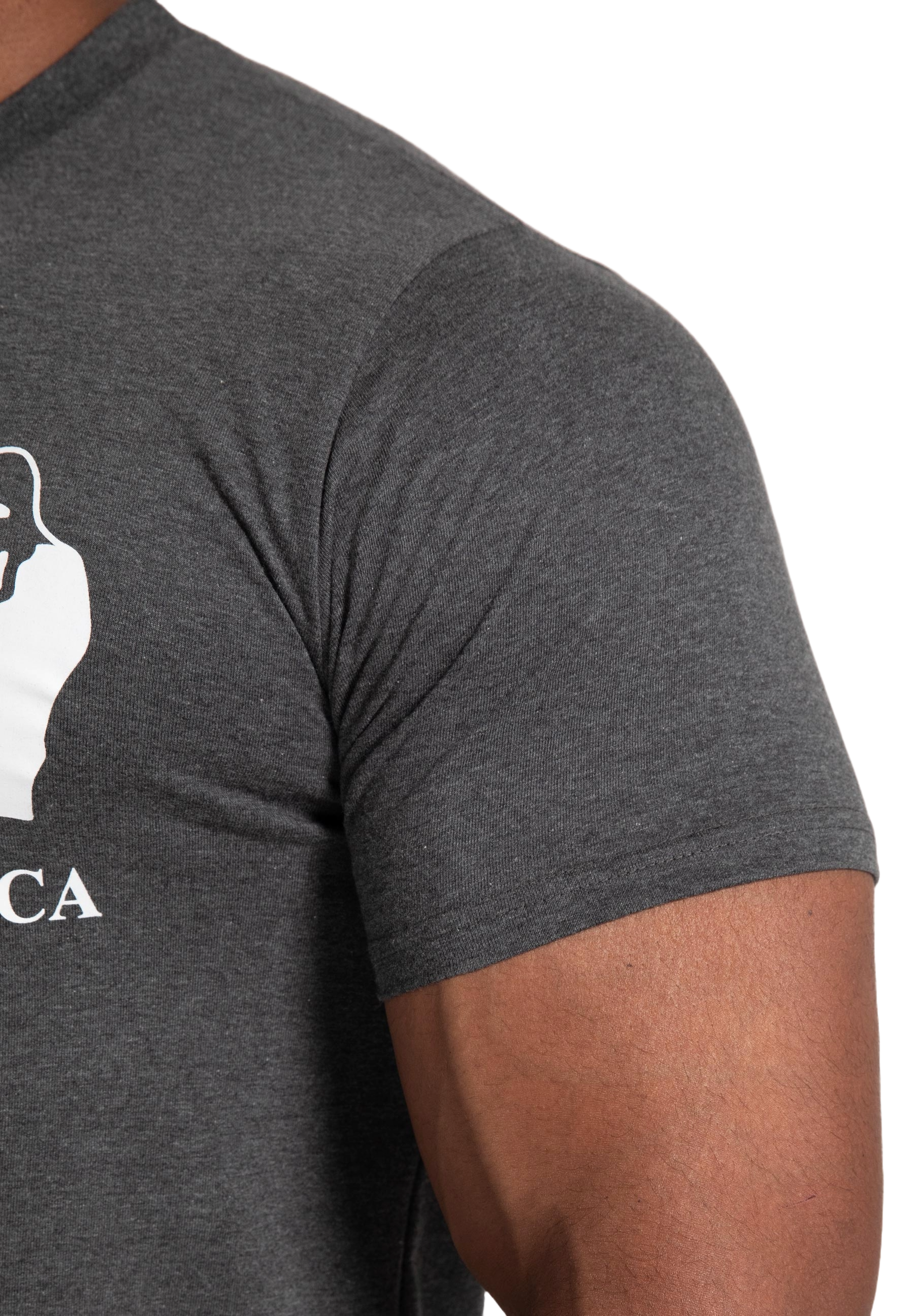 Gorilla Wear Classic T-Shirt, dark grey