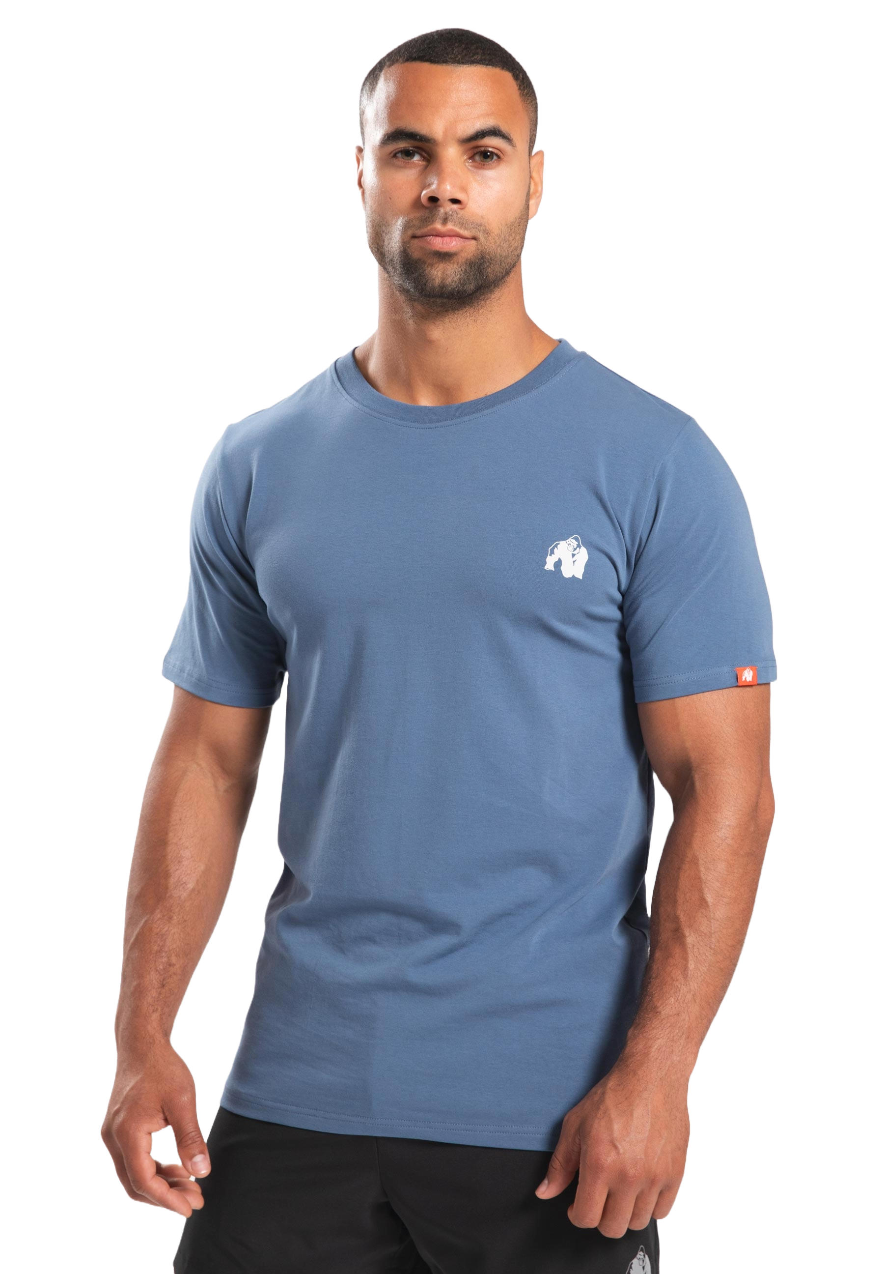 Gorilla Wear Warren T-Shirt, coronet blue