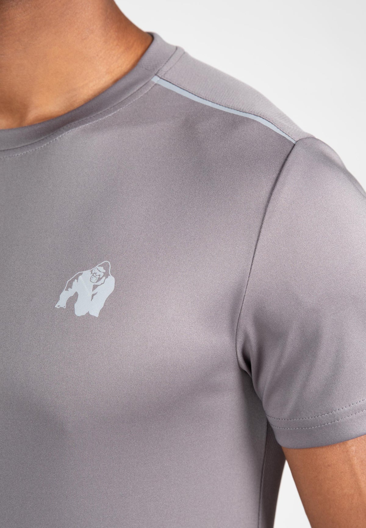 Gorilla Wear Easton T-Shirt, grey