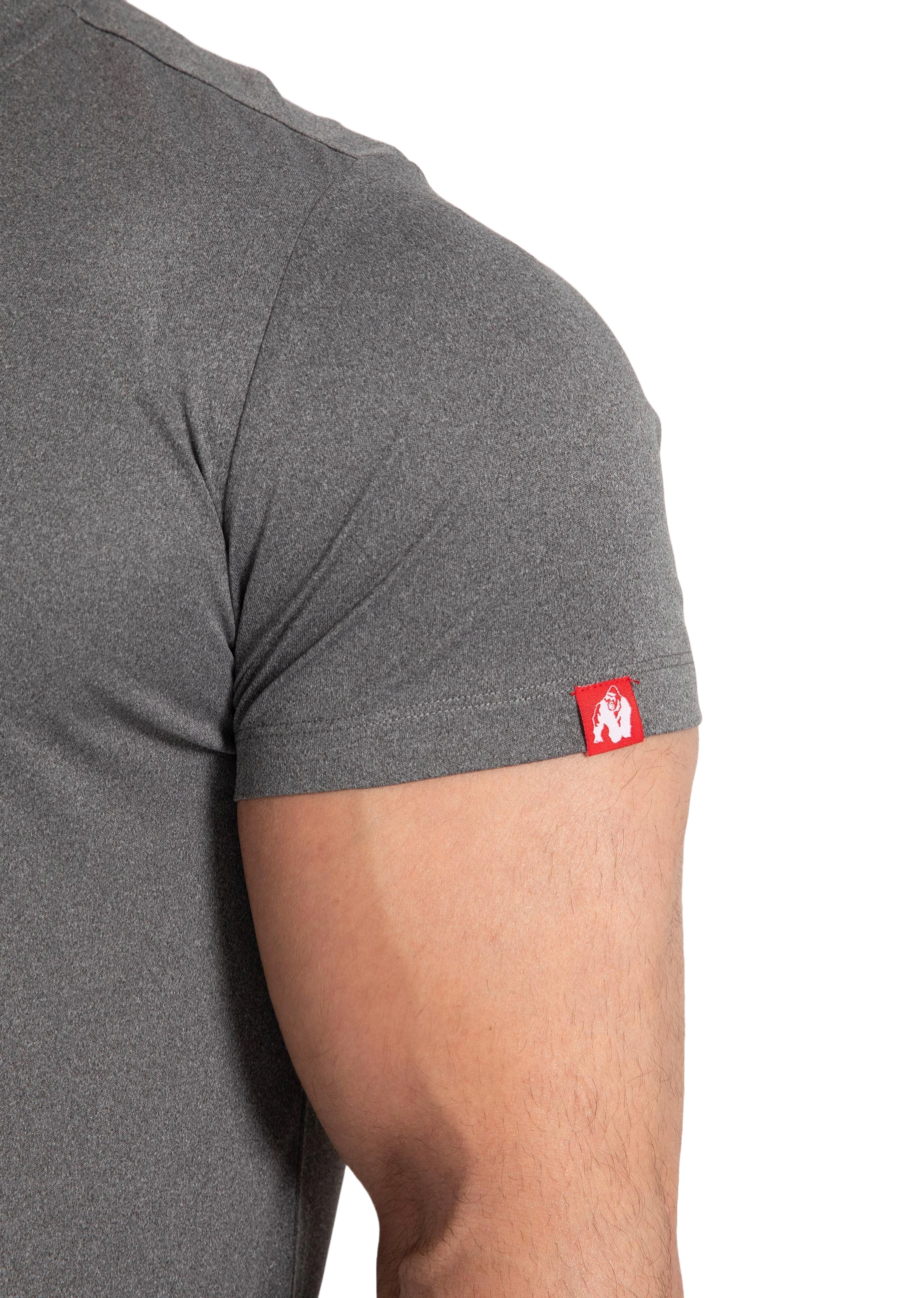 Gorilla Wear Classic Training T-Shirt, grey melange