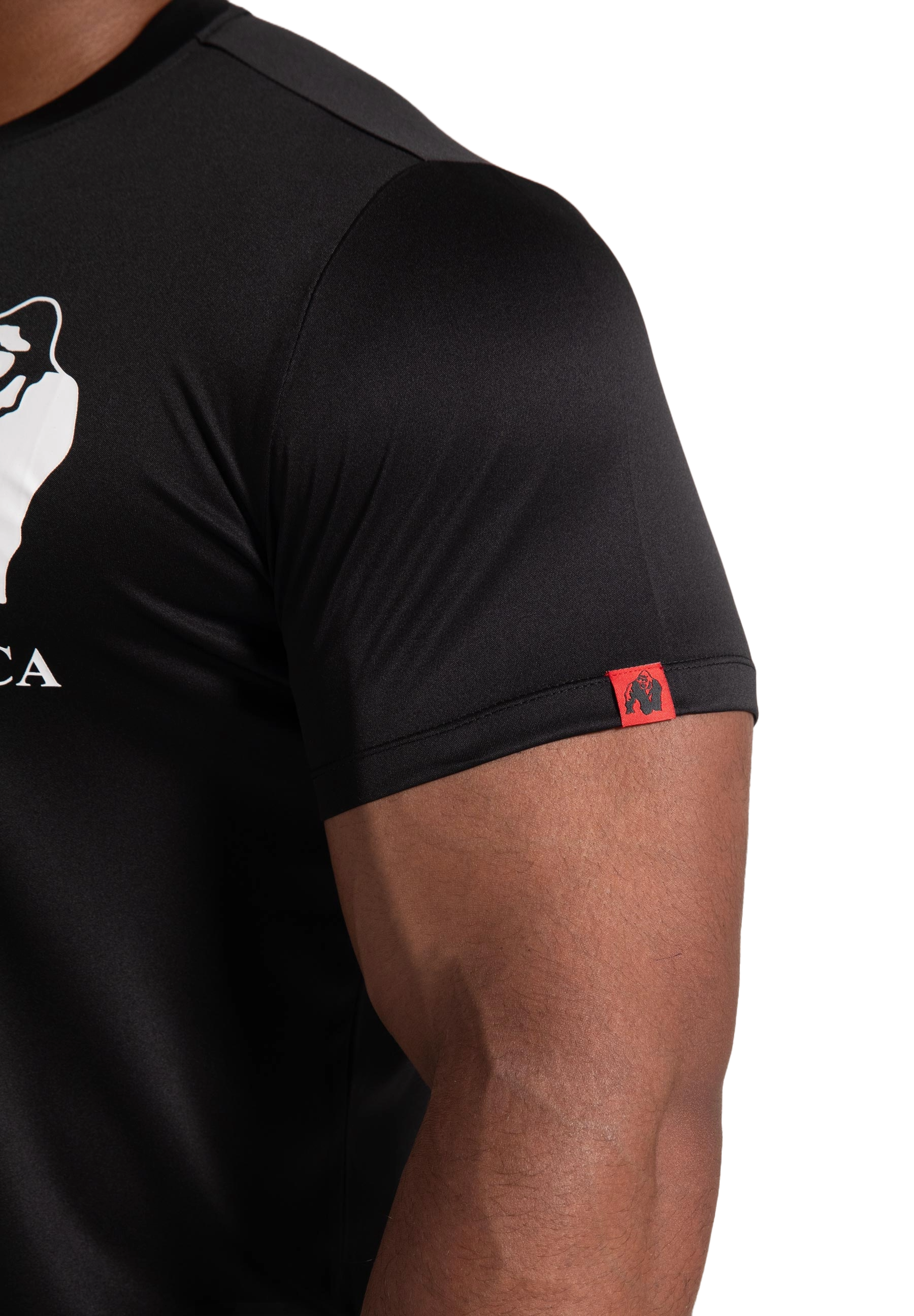 Gorilla Wear Classic Training T-Shirt, black
