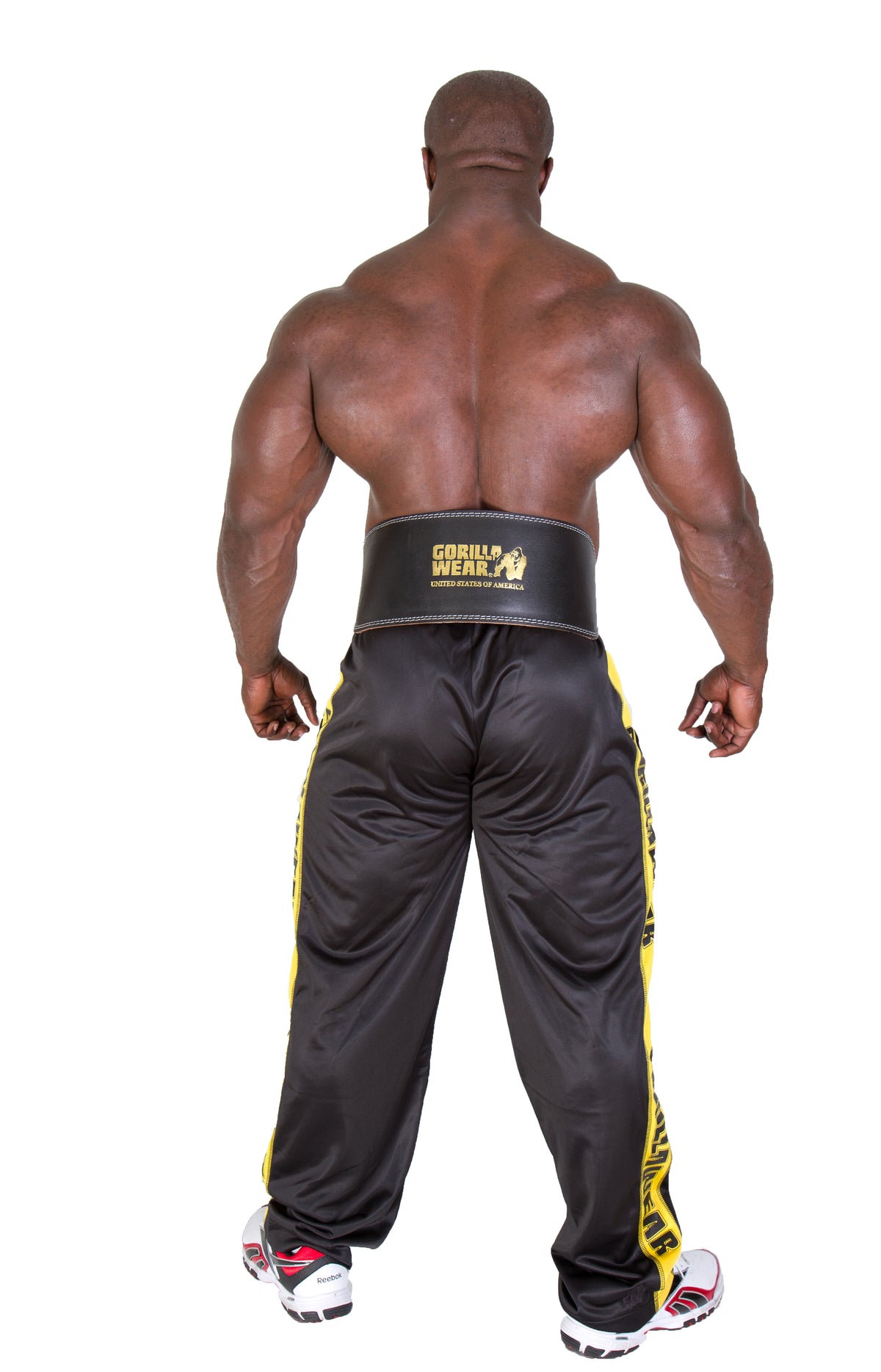 Gorilla Wear 6 Inch Padded Leather Belt, black/gold