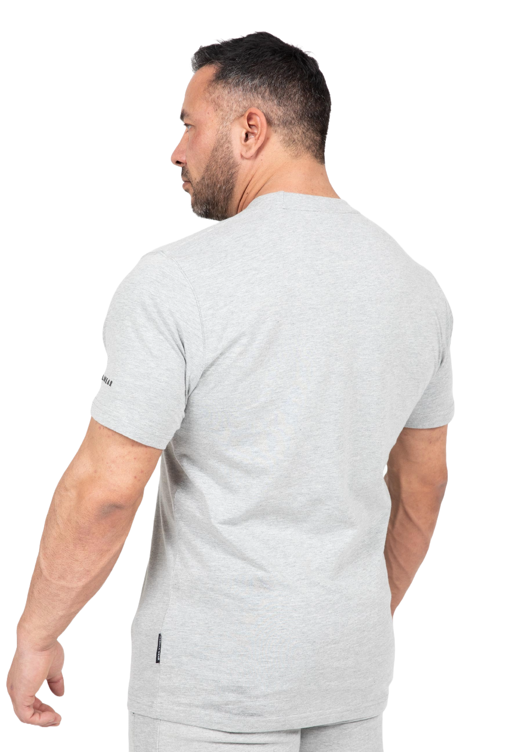 Gorilla Wear Leon T-Shirt, grey