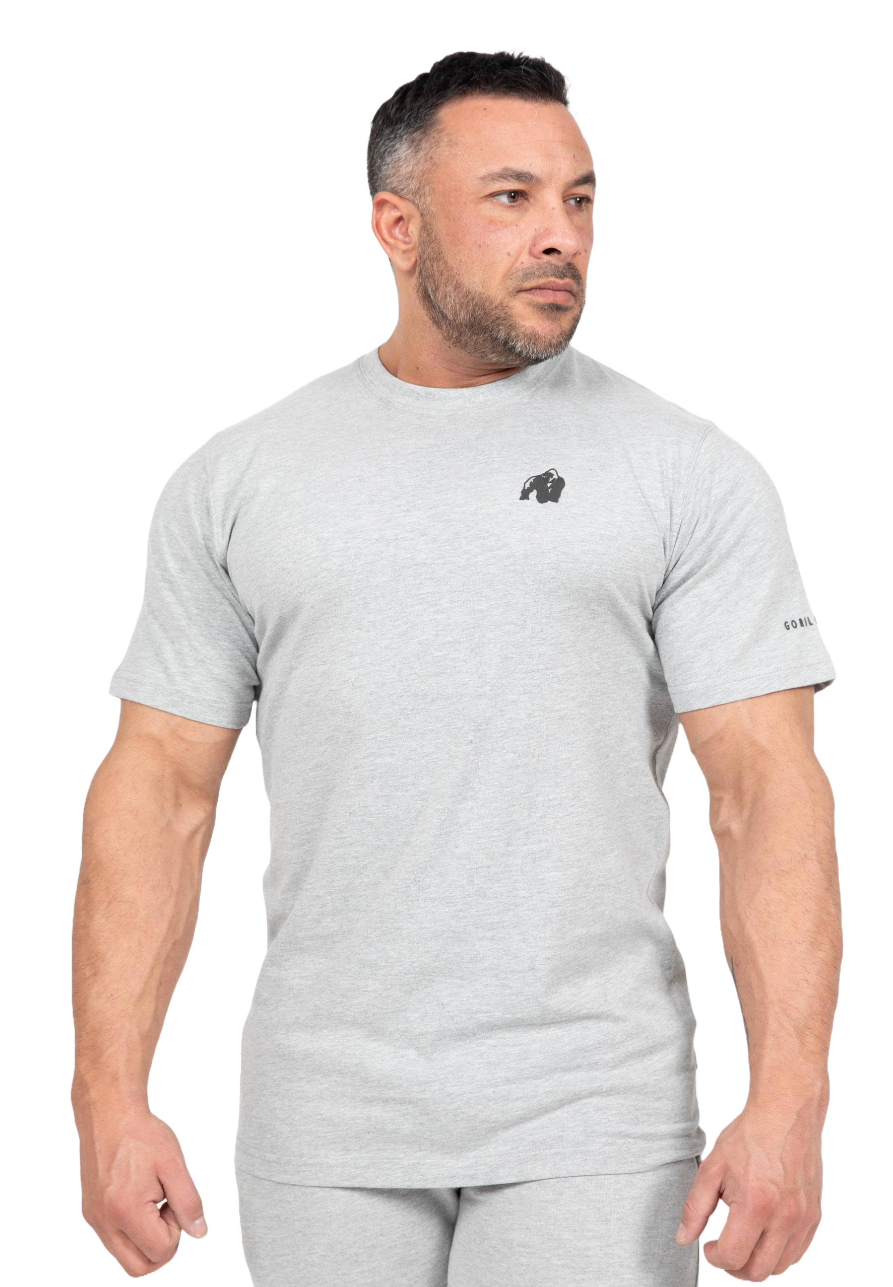 Gorilla Wear Leon T-Shirt, grey