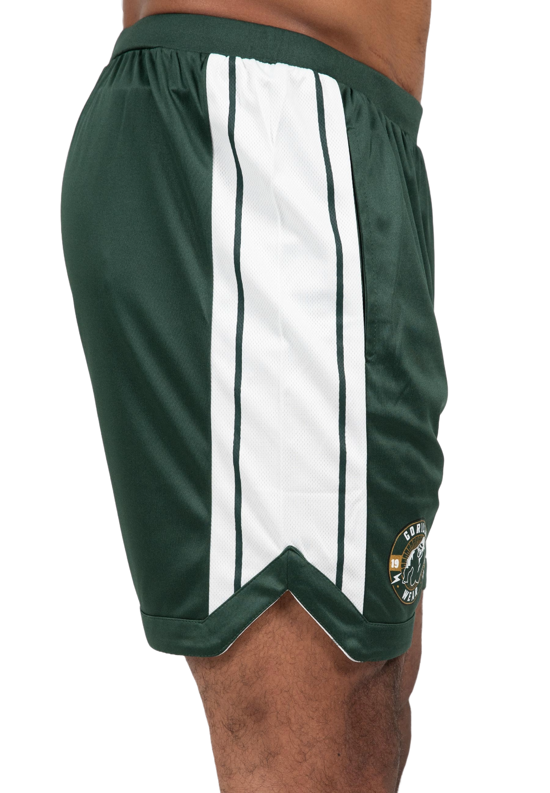 Gorilla Wear Orlando Shorts, green