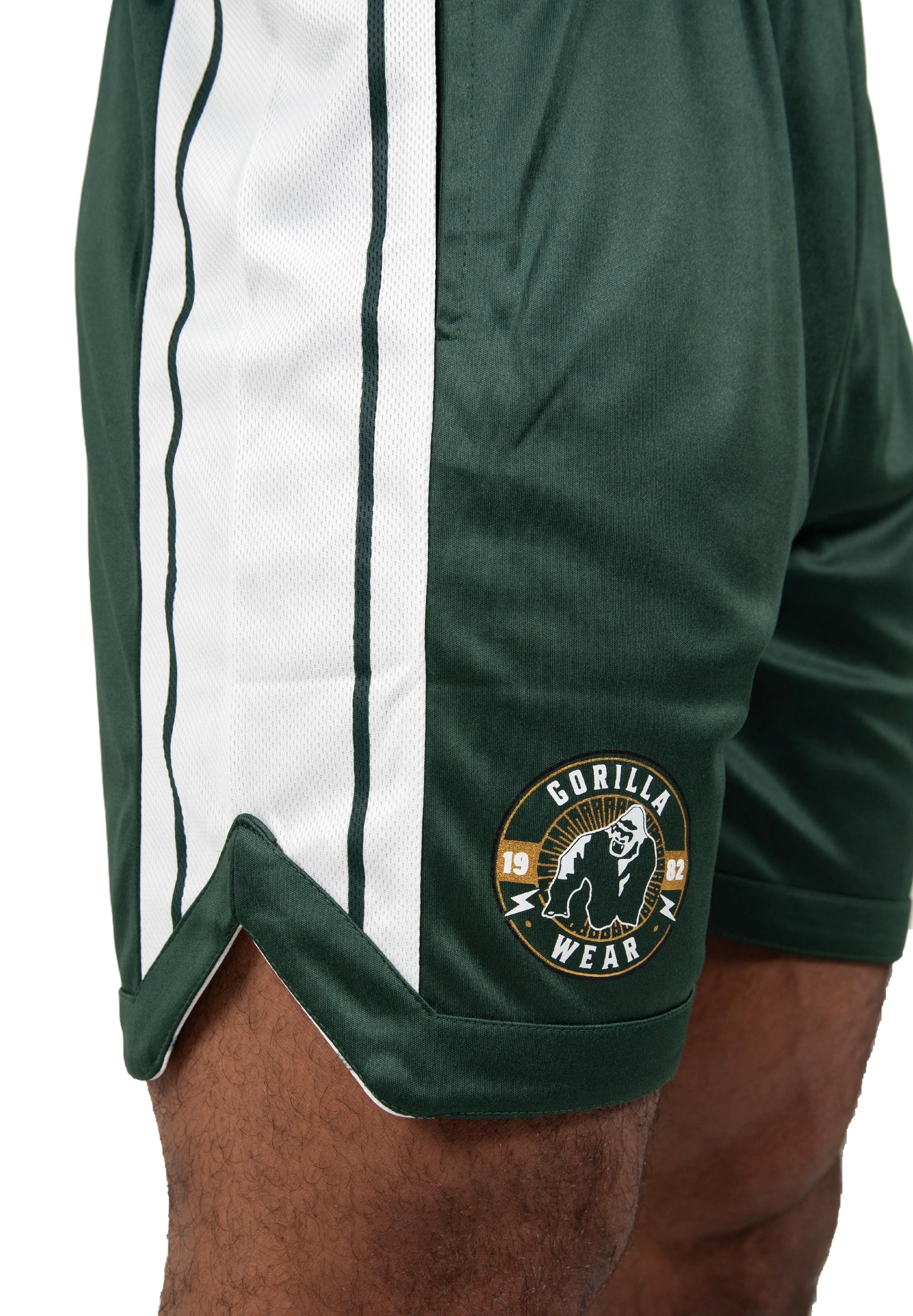 Gorilla Wear Orlando Shorts, green