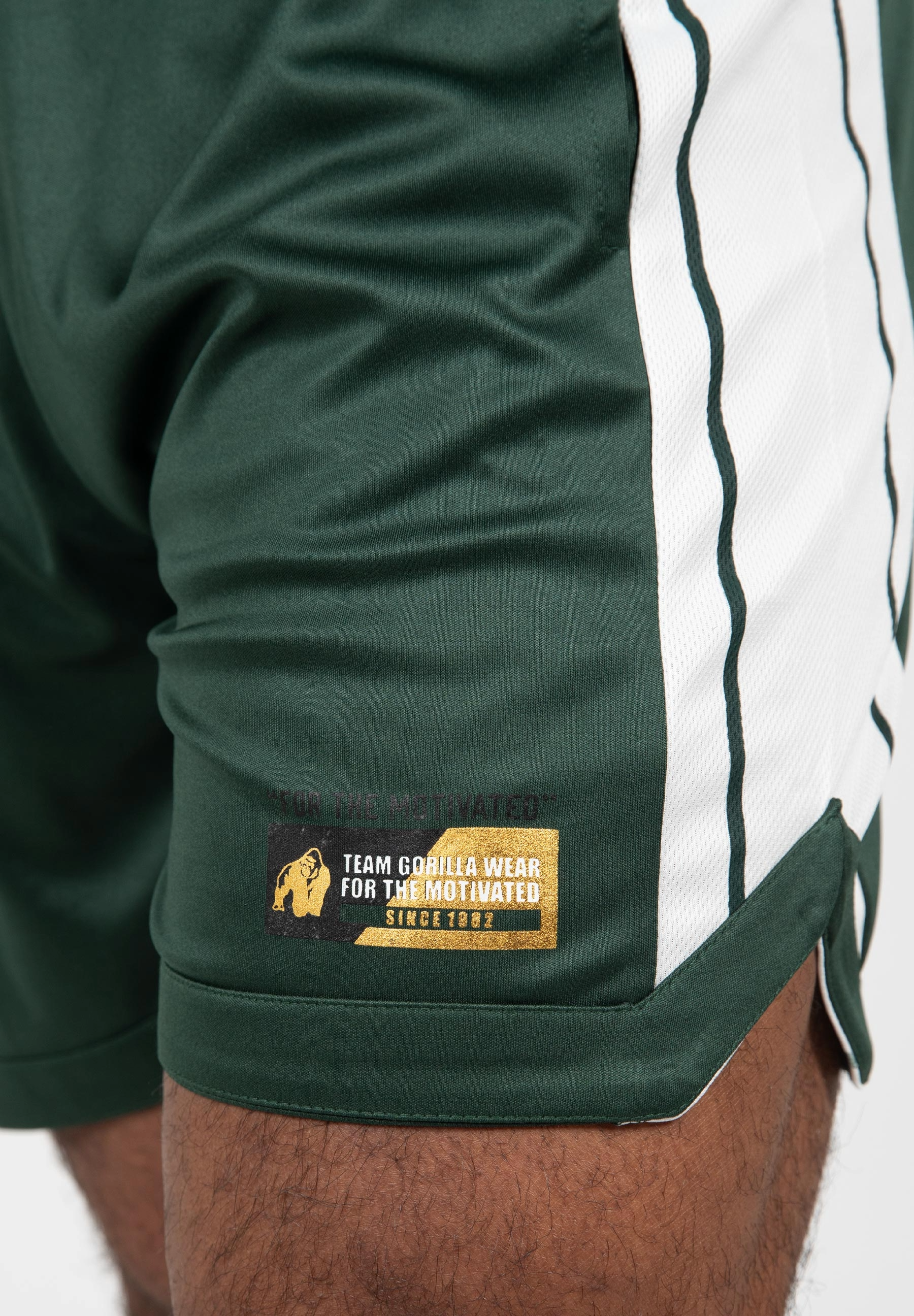 Gorilla Wear Orlando Shorts, green