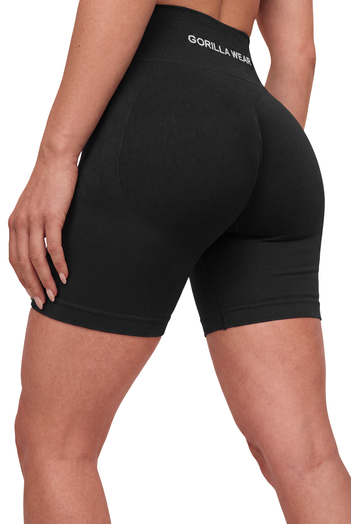 Gorilla Wear Florence Seamless Contour Shorts, black