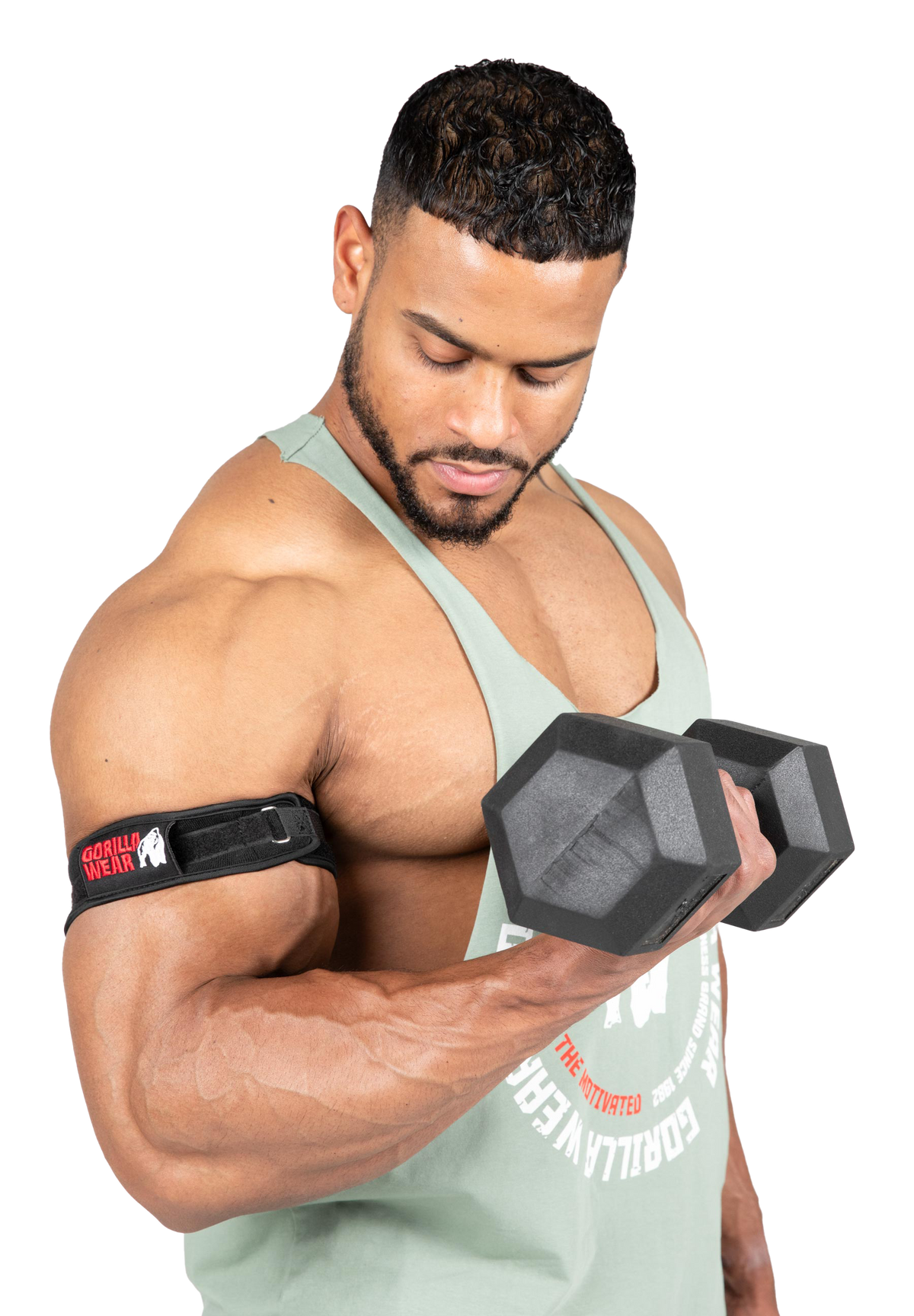 Gorilla Wear BFR Bands, black
