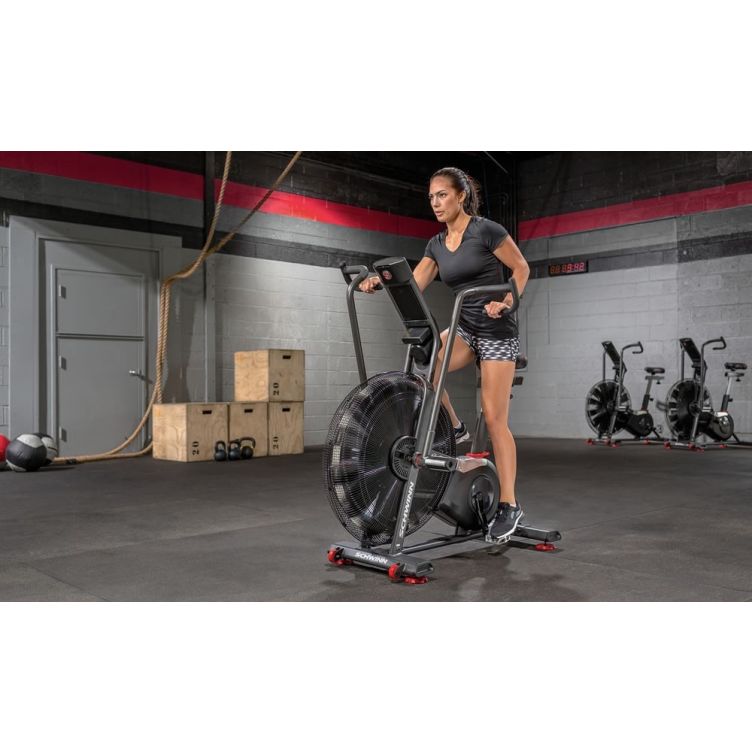Schwinn Airdyne AD 8