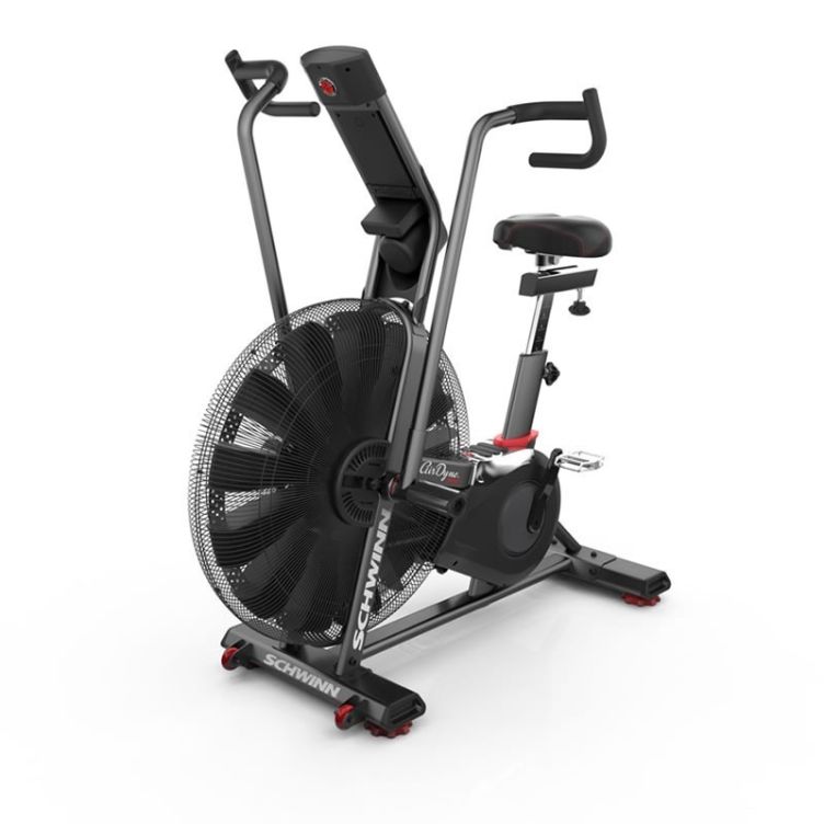 Schwinn Airdyne AD 8