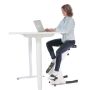 Desk Bike