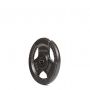 Iron Weight Plate 1,25-20kg