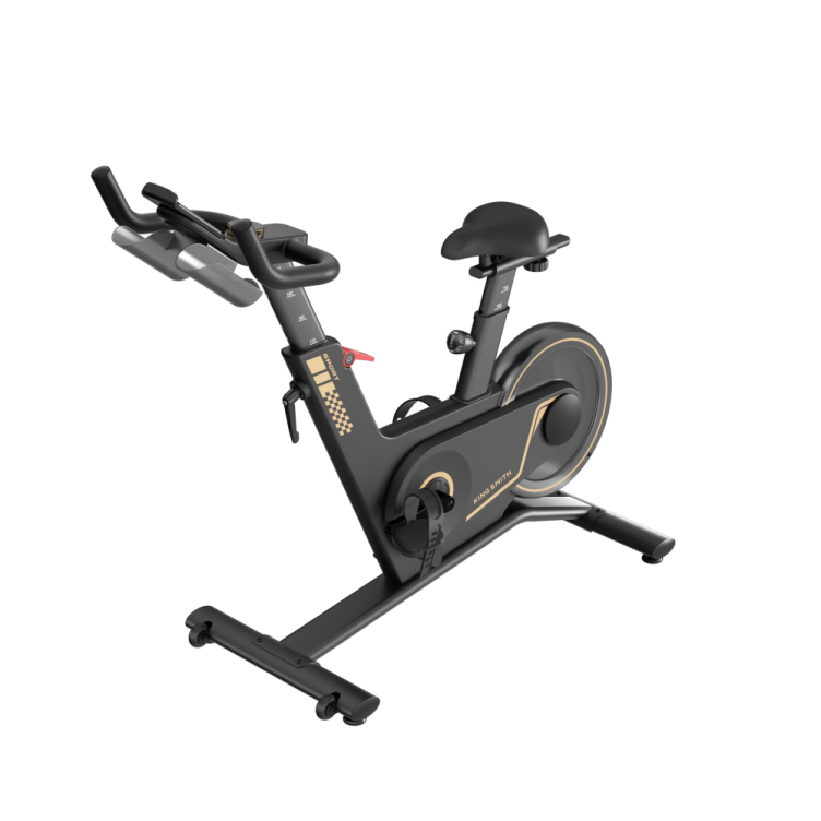 Kingsmith PB08S Spin Bike
