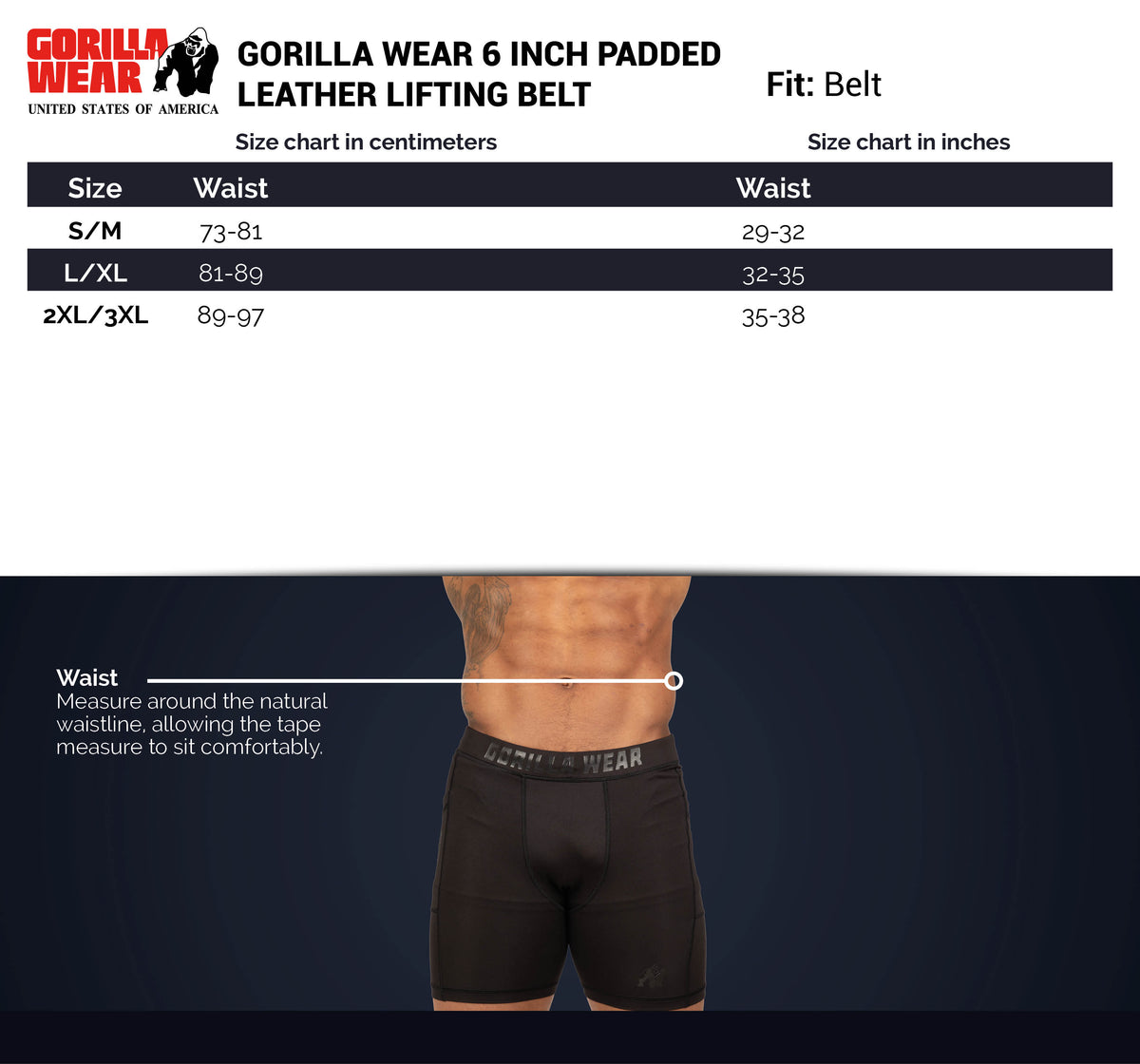 Gorilla Wear 6 Inch Padded Leather Belt, black/gold