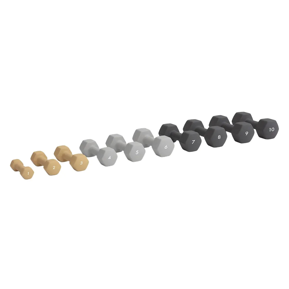 Abilica DumbBells